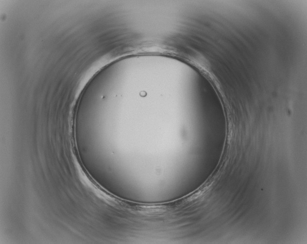 X0000052981483200507291539