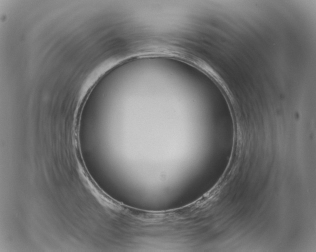 X0000052981485200507291539