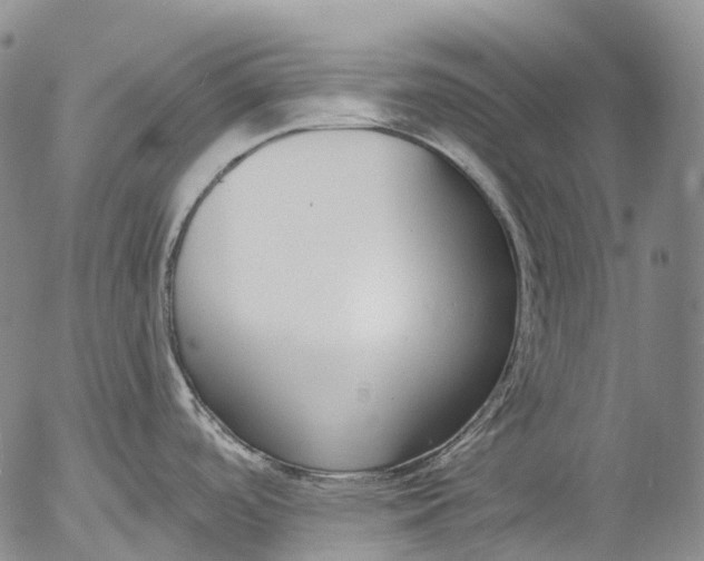 X0000052981488200507291539