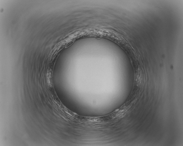 X0000052981490200507291538