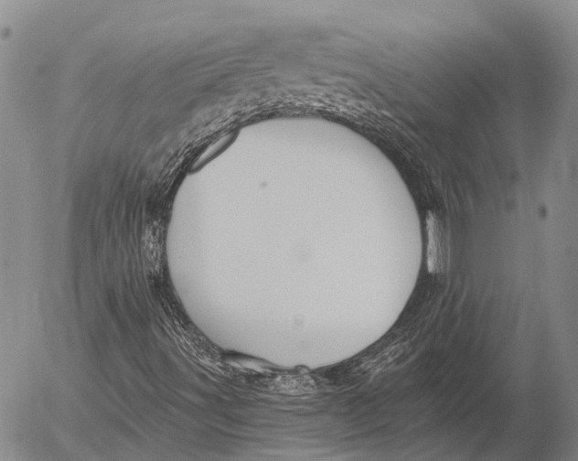 X0000052981491200507291538