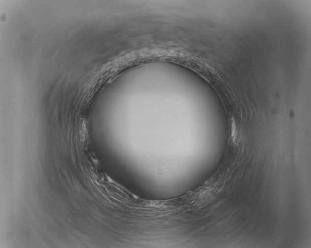 X0000052981492200507291538