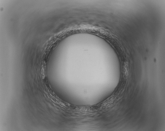 X0000052981493200507291538