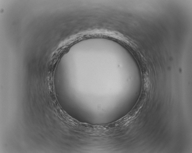 X0000052981494200507291538