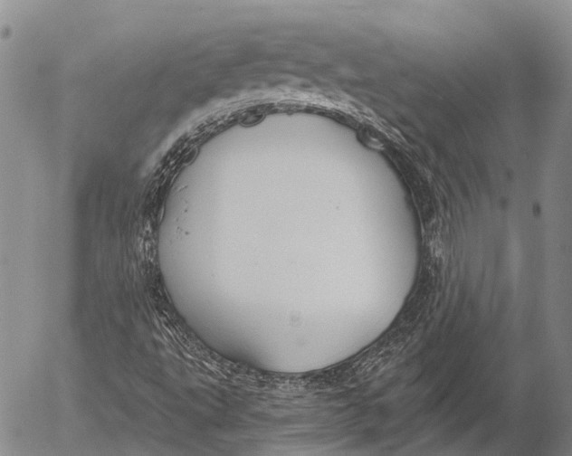 X0000052981495200507291538