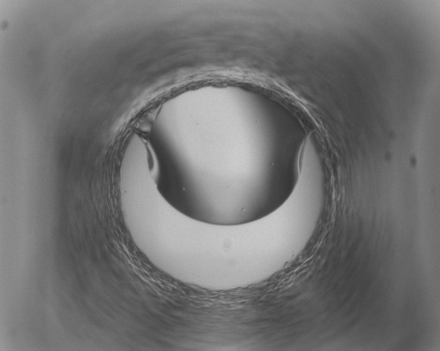 X0000052981496200507291538