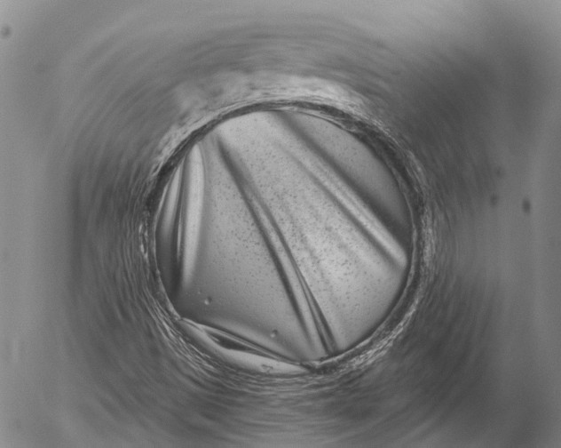 X0000052981497200507291538