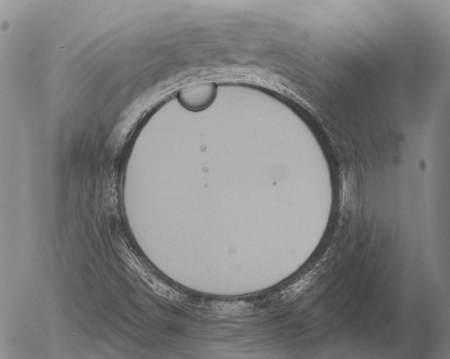 X0000052981498200507291538