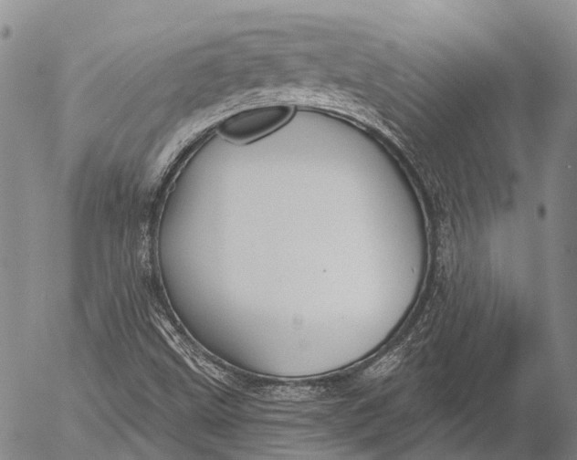 X0000052981499200507291538