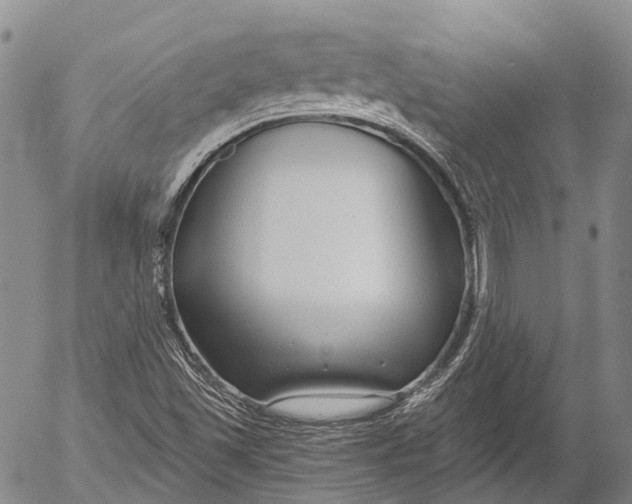 X0000052981501200507291538