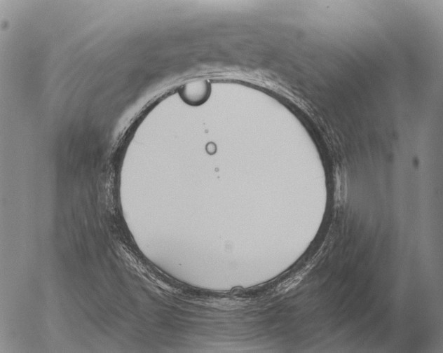 X0000052981502200507291538