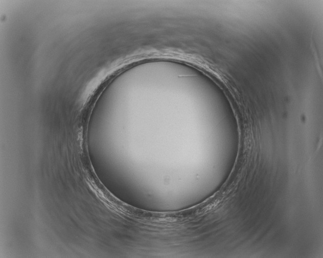 X0000052981503200507291538