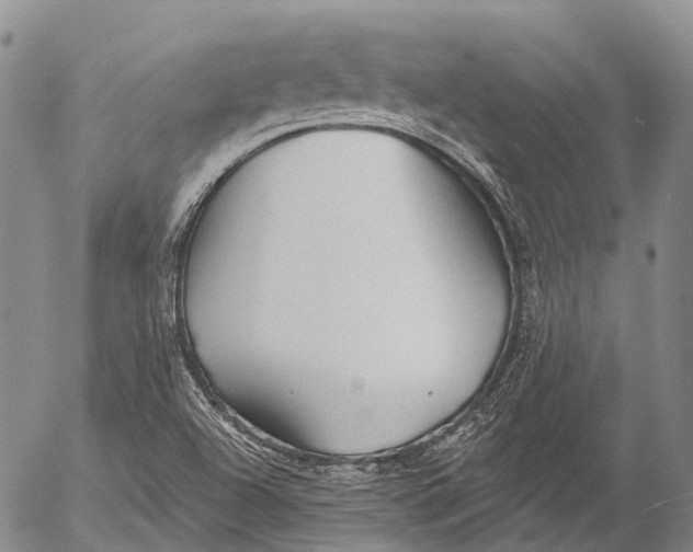 X0000052981504200507291538