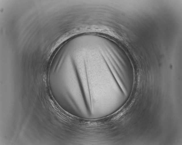 X0000052981505200507291538