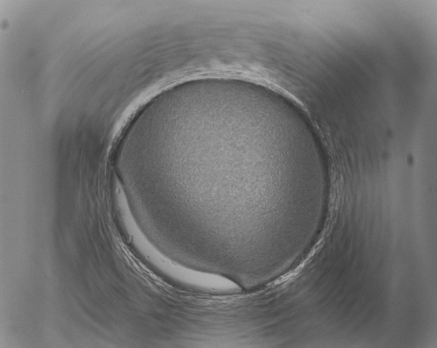 X0000052981506200507291538