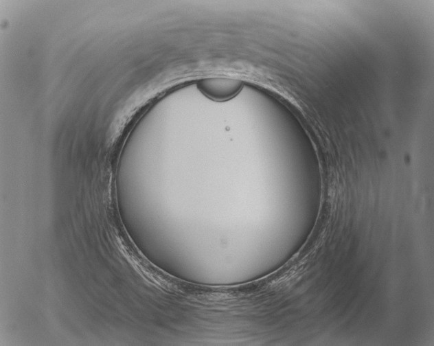 X0000052981507200507291538