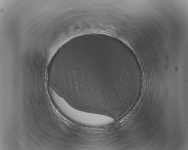 X0000052981508200507291538