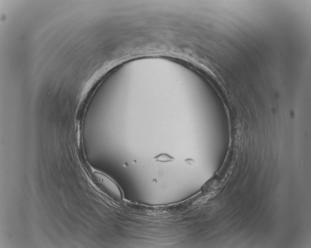 X0000052981509200507291538