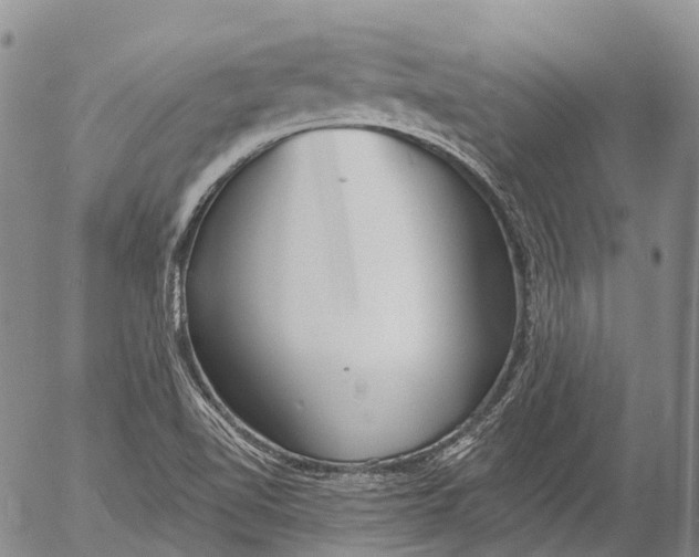 X0000052981510200507291538