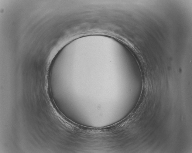 X0000052981512200507291538