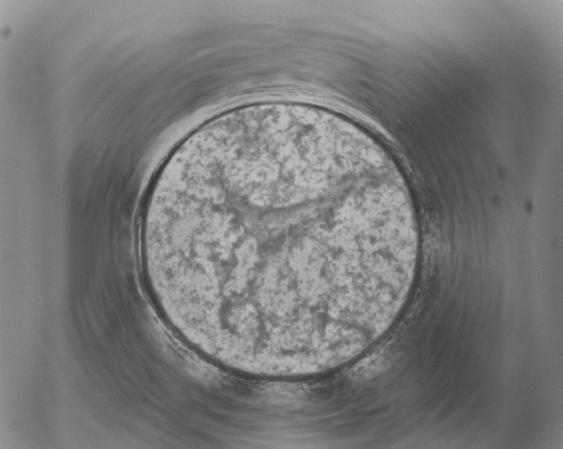 X0000052981514200507291538