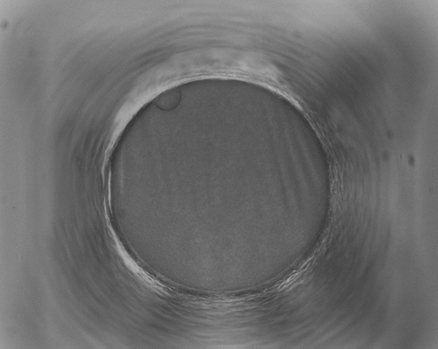 X0000052981515200507291538