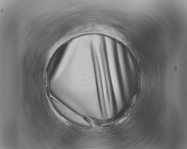 X0000052981519200507291538