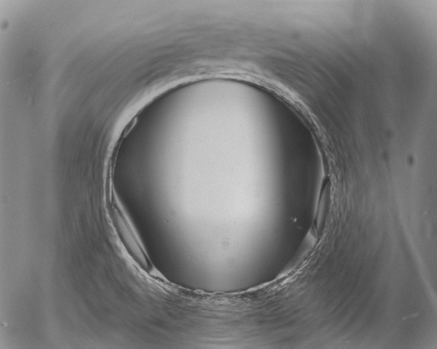 X0000052981520200507291539