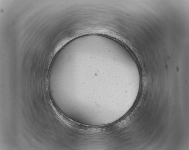 X0000052981521200507291539