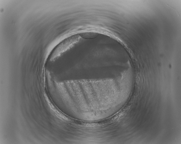 X0000052981522200507291539