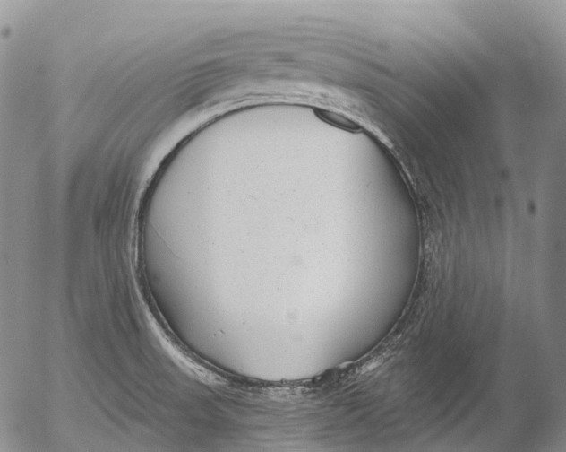 X0000052981523200507291539