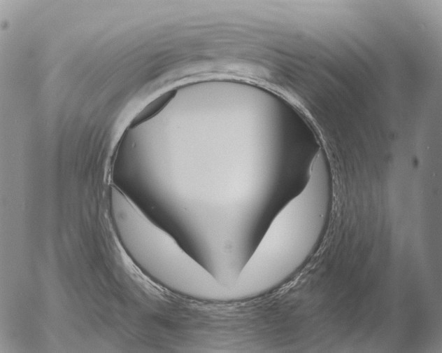 X0000052981524200507291539