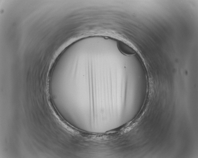 X0000052981525200507291539