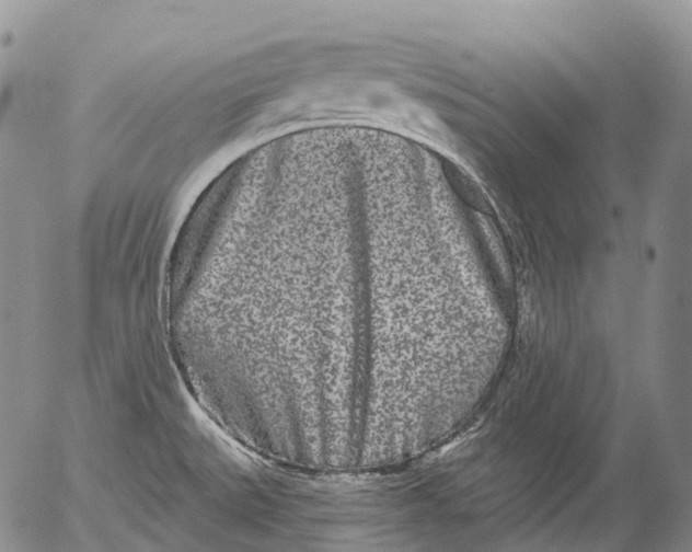 X0000052981527200507291539