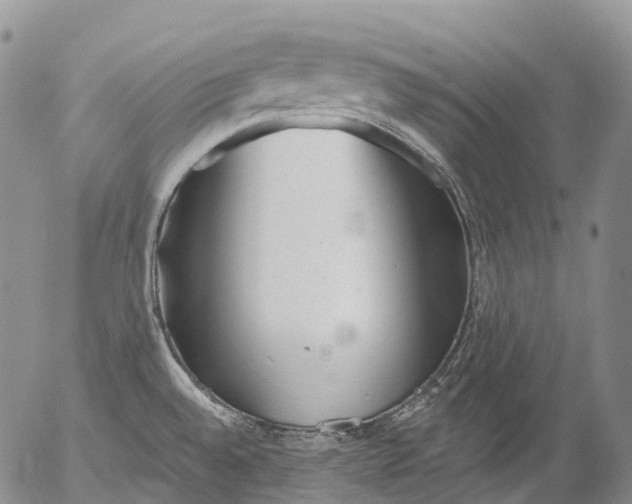 X0000052981528200507291539