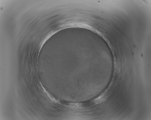 X0000052981529200507291539