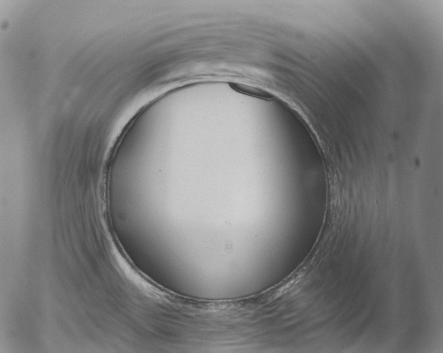 X0000052981531200507291539