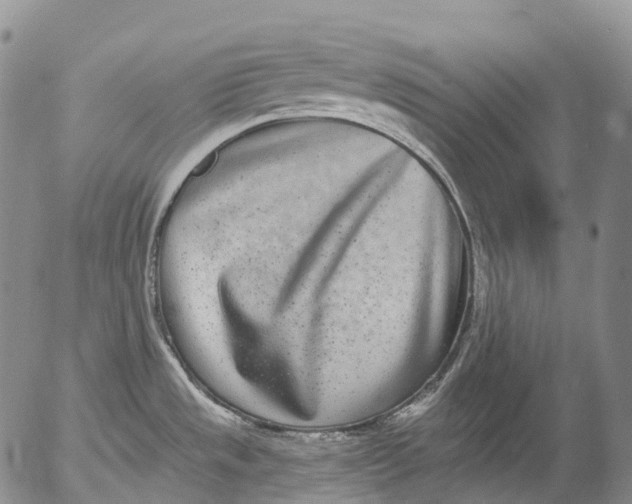 X0000052981533200507291539