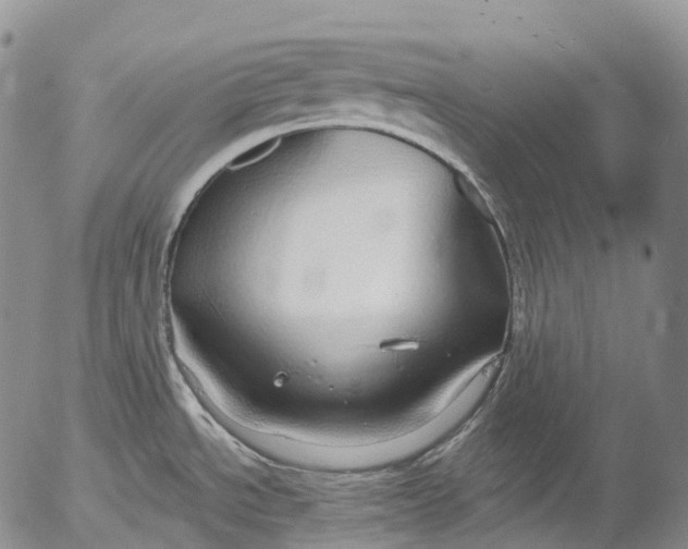 X0000052981534200507291539