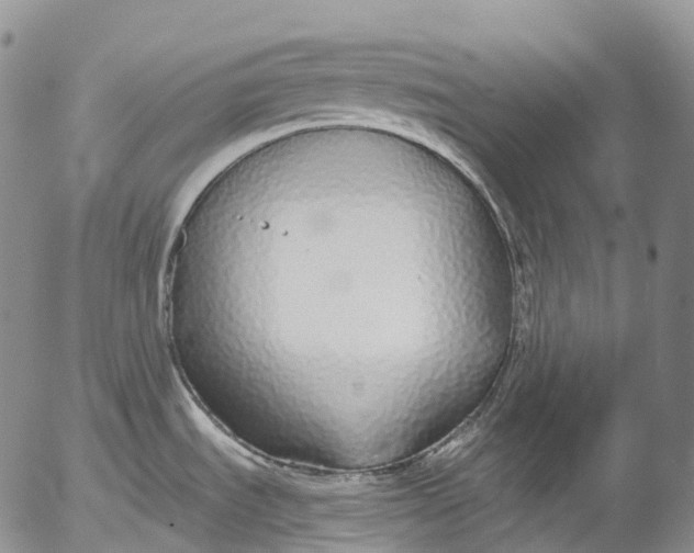 X0000052981535200507291539