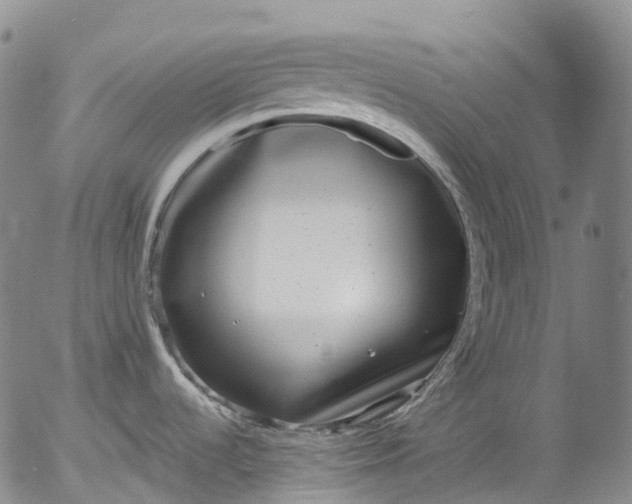 X0000052981536200507291539