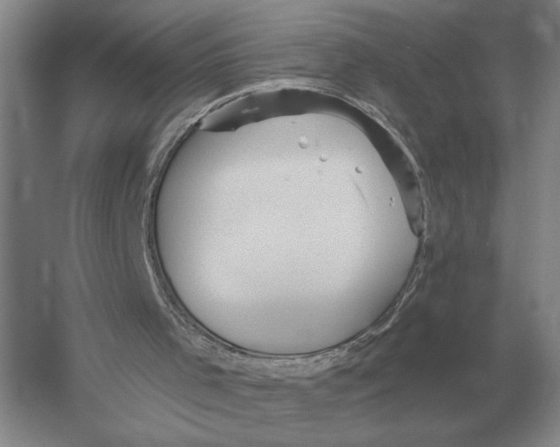 X0000052980001200508051053