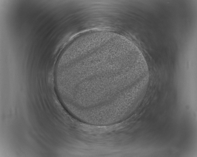 X0000052980002200508051053