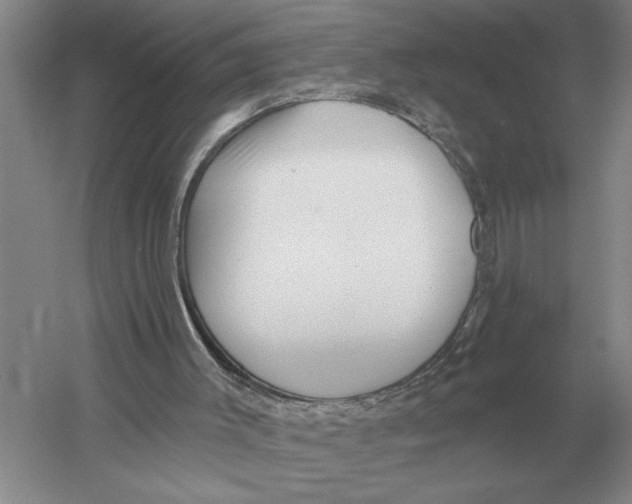 X0000052980003200508051053