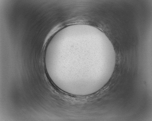 X0000052980004200508051053