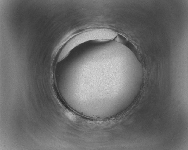 X0000052980005200508051053