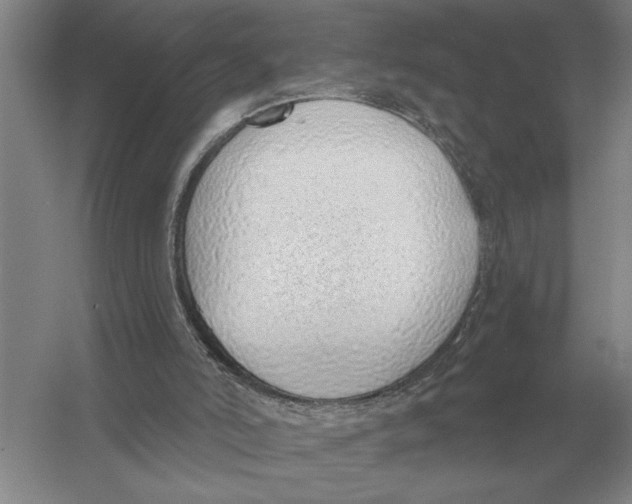 X0000052980006200508051053