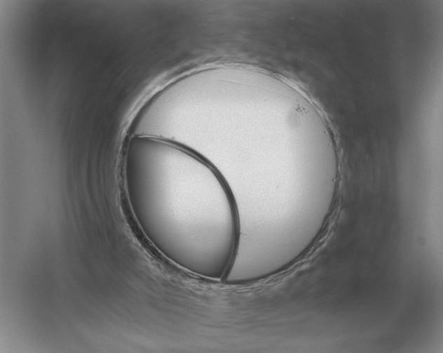 X0000052980007200508051053