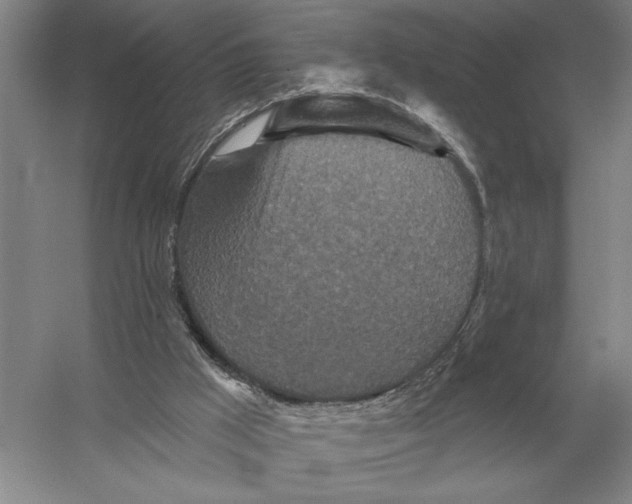 X0000052980009200508051053