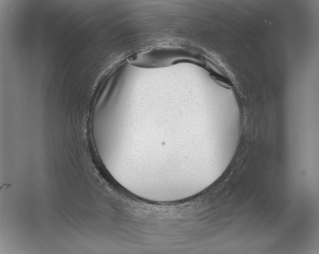 X0000052980010200508051053